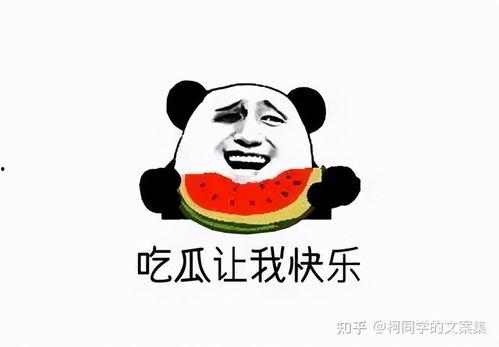 搞笑吃瓜爆料文案,笑料百出！娱乐圈最新吃瓜爆料大盘点