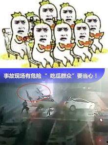 今日群众吃瓜视频,群众吃瓜视频，揭秘娱乐圈幕后故事