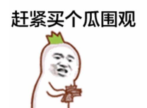 17吃瓜群众黑料