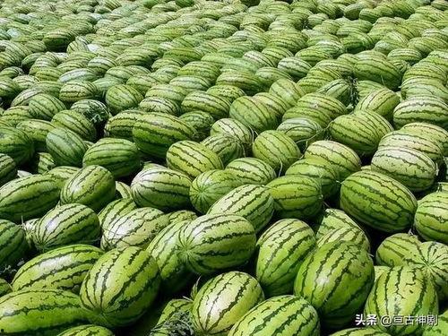 51热门大瓜黑料吃瓜,吃瓜群众的热议焦点