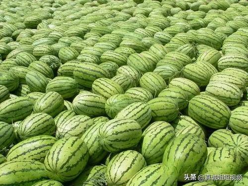 今日吃瓜热门大瓜每日更,揭秘娱乐圈最新猛料，每日更新，精彩不断！