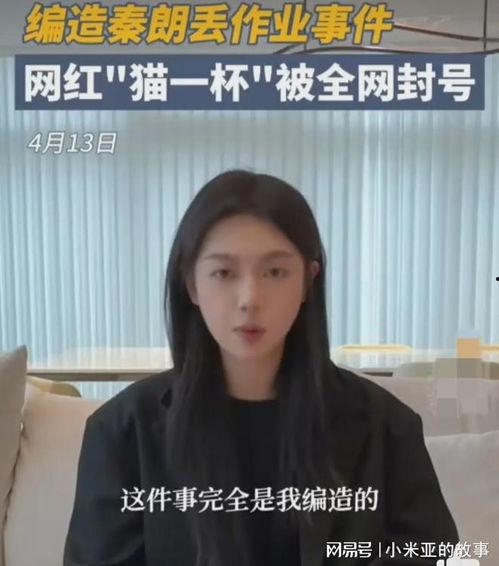 涉事明星网红,揭秘事件背后真相与影响”