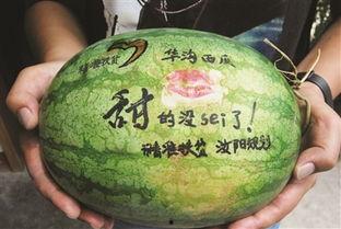 今日宜吃谷瓜,营养美味，今日宜吃的健康之选