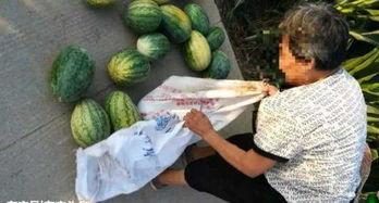 长春近期热门吃瓜事件,揭秘近期爆红吃瓜事件背后的真相