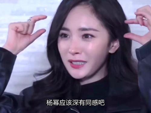 现实明星网红,揭秘网红明星的崛起之路