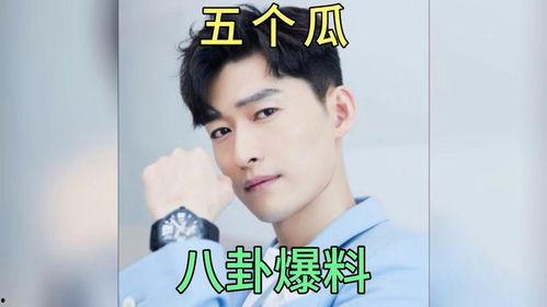 有关娱乐圈吃瓜小说,幕后风云，瓜田乱舞