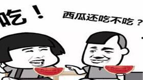 瓜农今日吃瓜 小说,一场别开生面的乡村奇遇