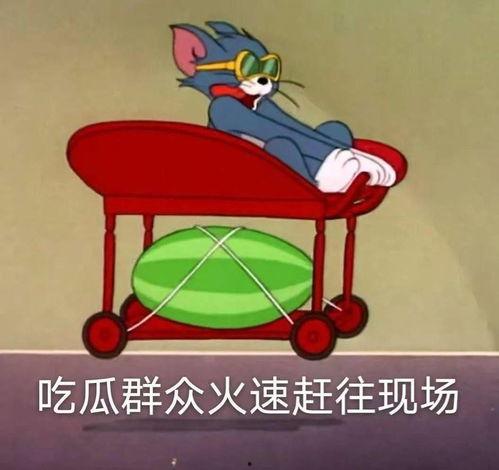 吃瓜爆料校园墙,揭秘校园热点事件背后的真相