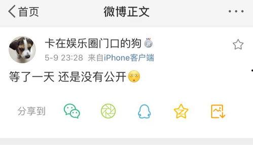 吃瓜爆料中文,吃瓜爆料背后的真相