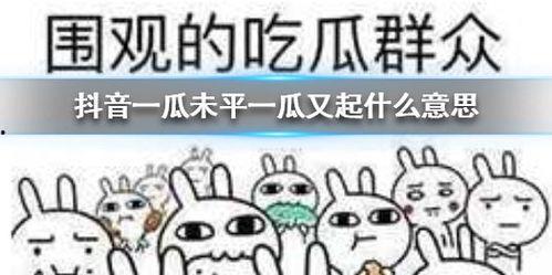 近期热门吃瓜抖音,揭秘网络热议背后的真相
