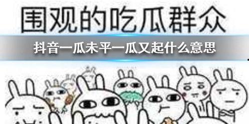 抖音吃瓜热门最新,揭秘娱乐圈最新八卦风云