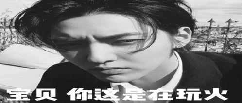 娱乐圈吃瓜搞笑文案,吃瓜群众欢乐多