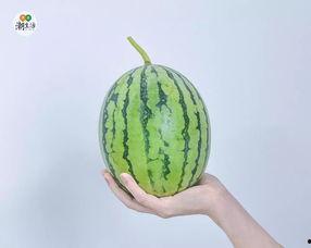 今日份吃瓜完成,盘点娱乐圈新鲜事