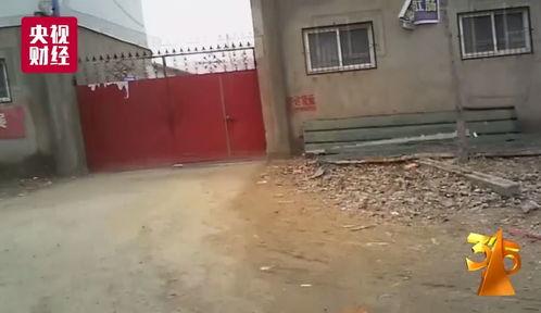近期热门吃瓜事件邯郸,揭秘近期热门吃瓜事件背后的真相
