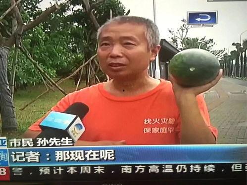 山西吃瓜热门事件视频