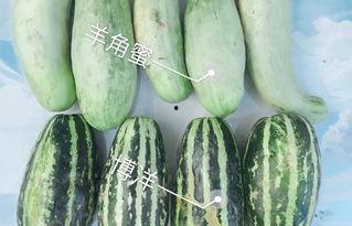 今日网红吃瓜,揭秘娱乐圈最新热点事件