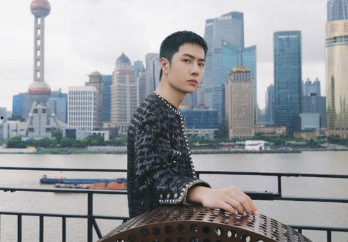 明星网红营,揭秘网红明星的养成之路
