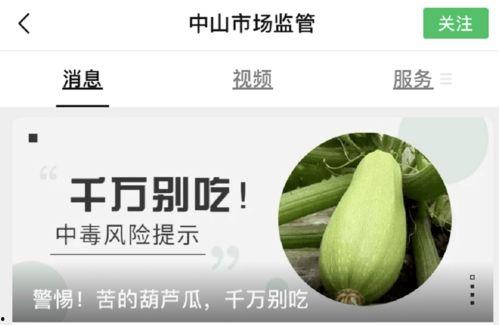 黑葫芦瓜可以吃吗,揭秘其食用价值与烹饪技巧