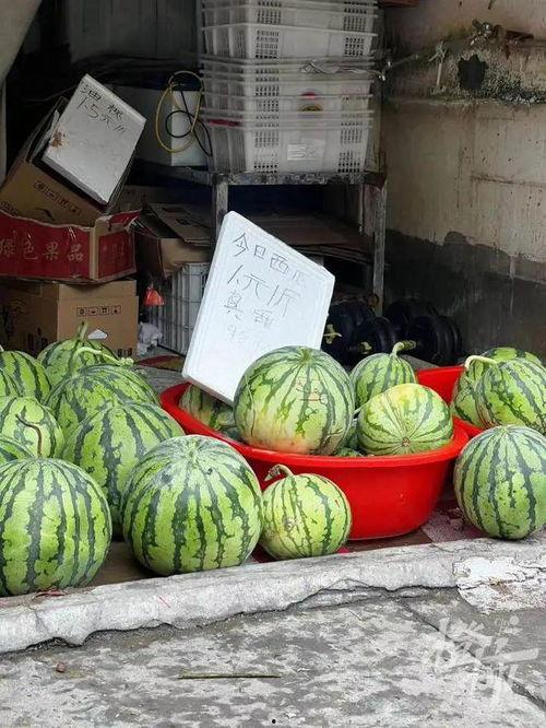 杭州近期热门吃瓜事件,揭秘近期热门吃瓜事件背后的真相