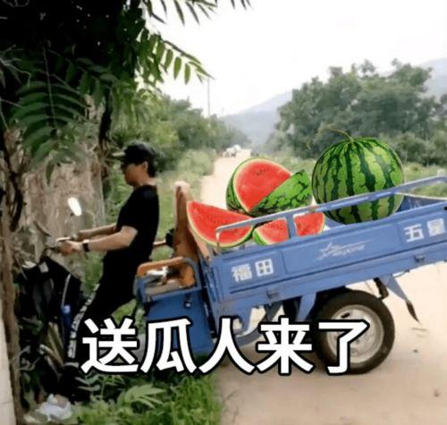 今日休息吃瓜文案,跟随吃瓜文案，畅享轻松一刻