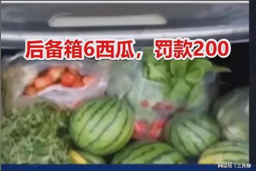 今日网友吃瓜现状,揭秘网络时代的“瓜田”盛况