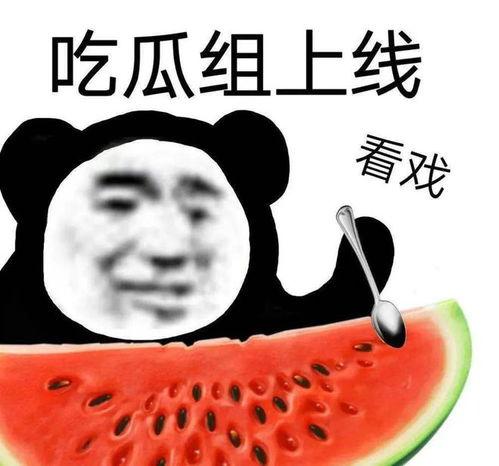 吃瓜爆光黑料,吃瓜群众爆光明星黑料背后的真相