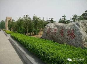 邯郸峰峰公园吃瓜热门,夏日街头新潮流