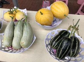 今日看料吃瓜,揭秘娱乐圈最新热点事件