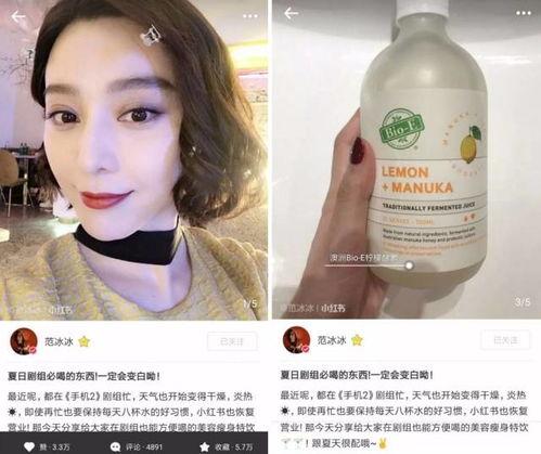 明星网红酵素,揭秘其神奇功效与市场热潮