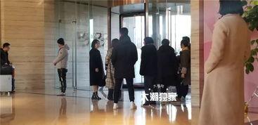 明星网红围观