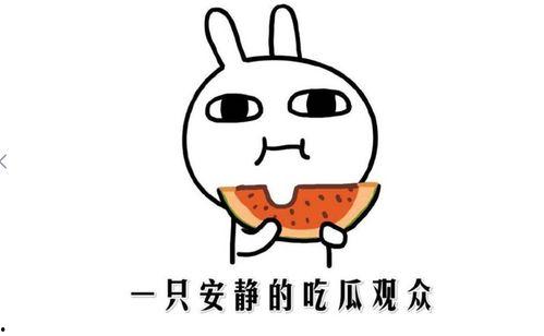 热门事件在哪里吃瓜,揭秘热门事件“吃瓜”圣地