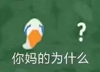 爆料吃瓜文案搞笑,揭秘娱乐圈那些让人笑到肚子疼的爆料幕后故事