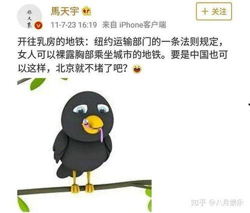 考古明星网红,揭秘古文明背后的魅力传奇