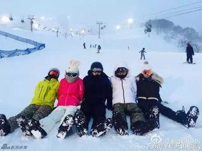 明星网红滑雪,速度与激情的冰雪盛宴