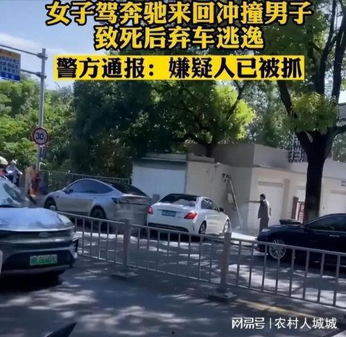 今日吃瓜女司机,吃瓜女司机引发热议，揭秘网络舆论背后的真相