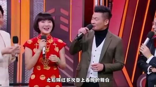 春晚明星网红,共筑欢乐盛宴