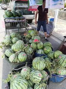 近期晋城热门吃瓜事件,最新“瓜田李下”事件揭秘