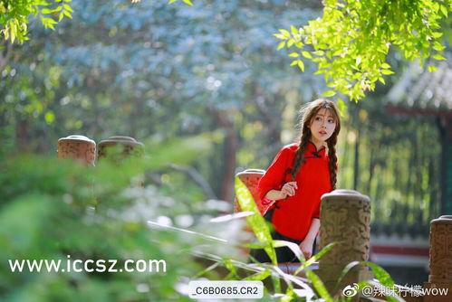 吃瓜黑料北京朝阳,吃瓜黑料背后的真相与反思